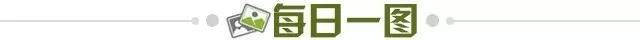 d472dd19-b46d-4317-8067-a12aa1f011e8.jpg@!img01